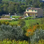 D'arsa Villa *